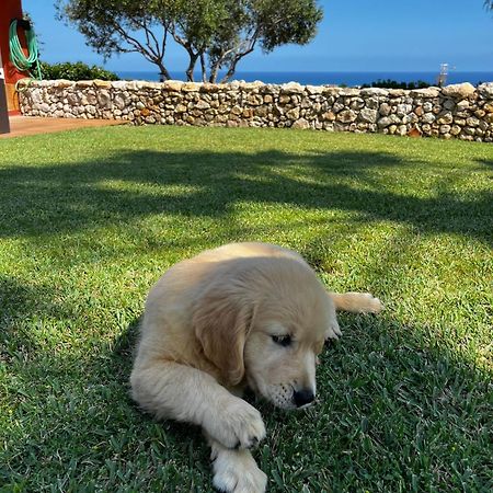 Willa Tu Pequeno Paraiso Calafell Zewnętrze zdjęcie