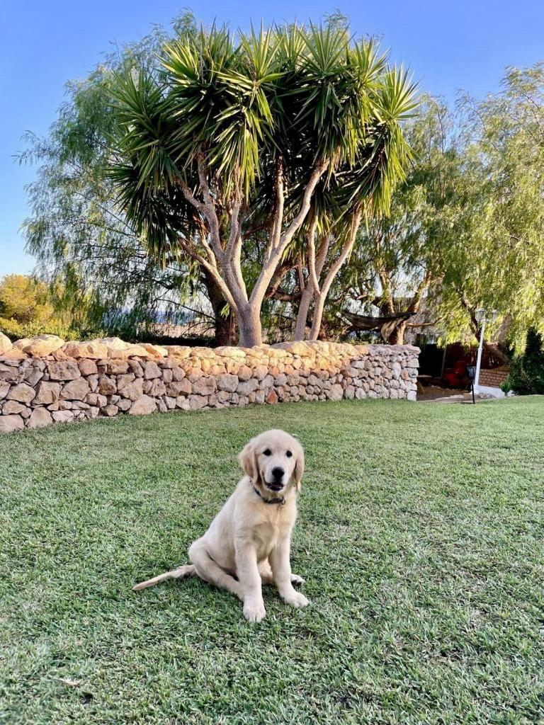 Willa Tu Pequeno Paraiso Calafell Zewnętrze zdjęcie