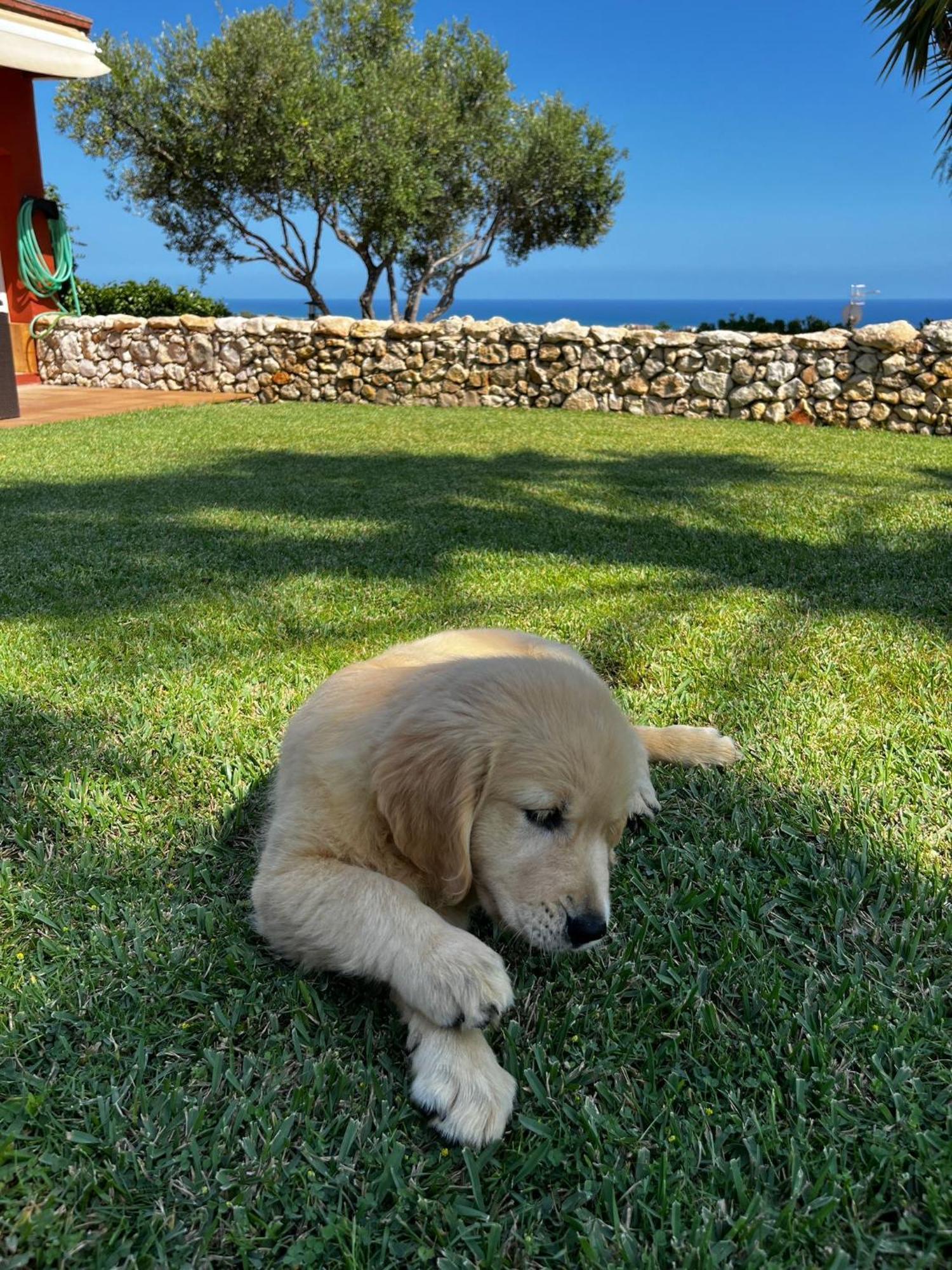 Willa Tu Pequeno Paraiso Calafell Zewnętrze zdjęcie